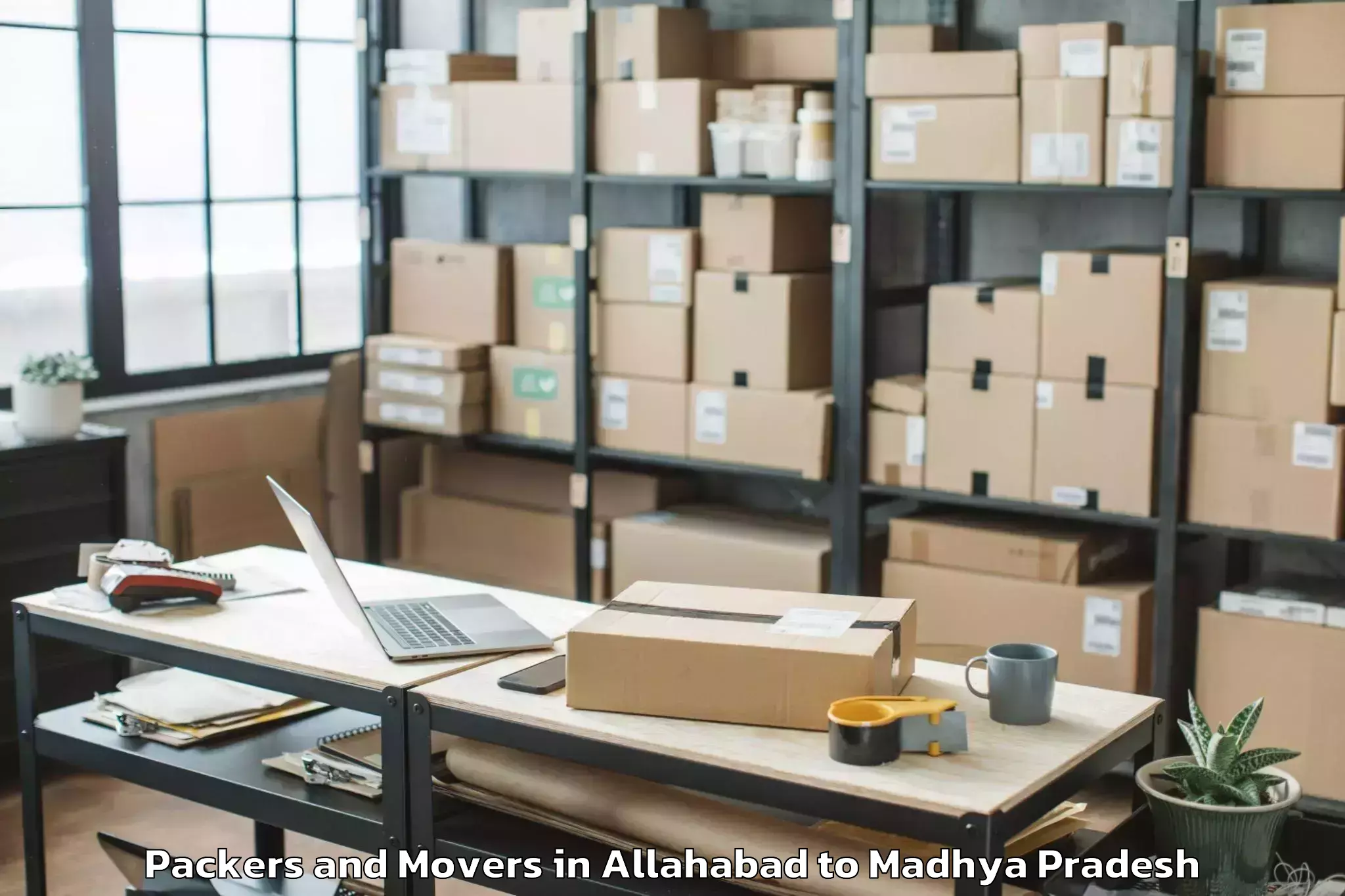 Professional Allahabad to Orchha Packers And Movers